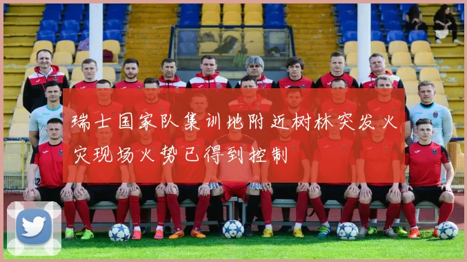瑞士国家队集训地附近树林突发火灾现场火势已得到控制